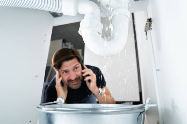  Ahuimanu, HI Plumbing Pros